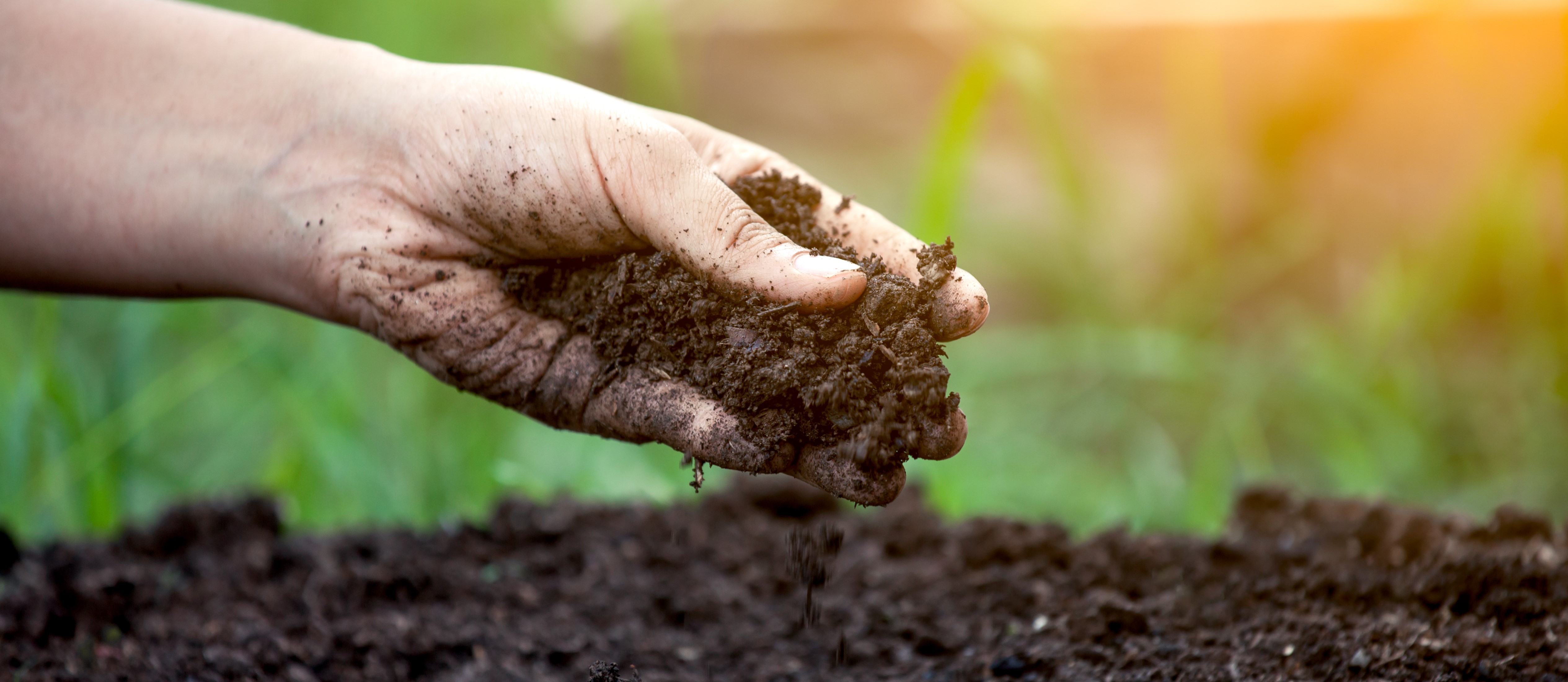 Revelação das riquezas dos solos brasileiro