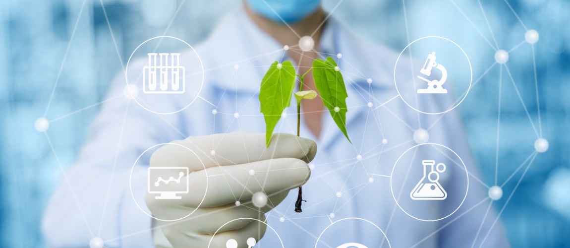 pnrgaa programas.jpg