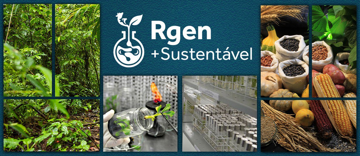 pnrgaa programas.jpg