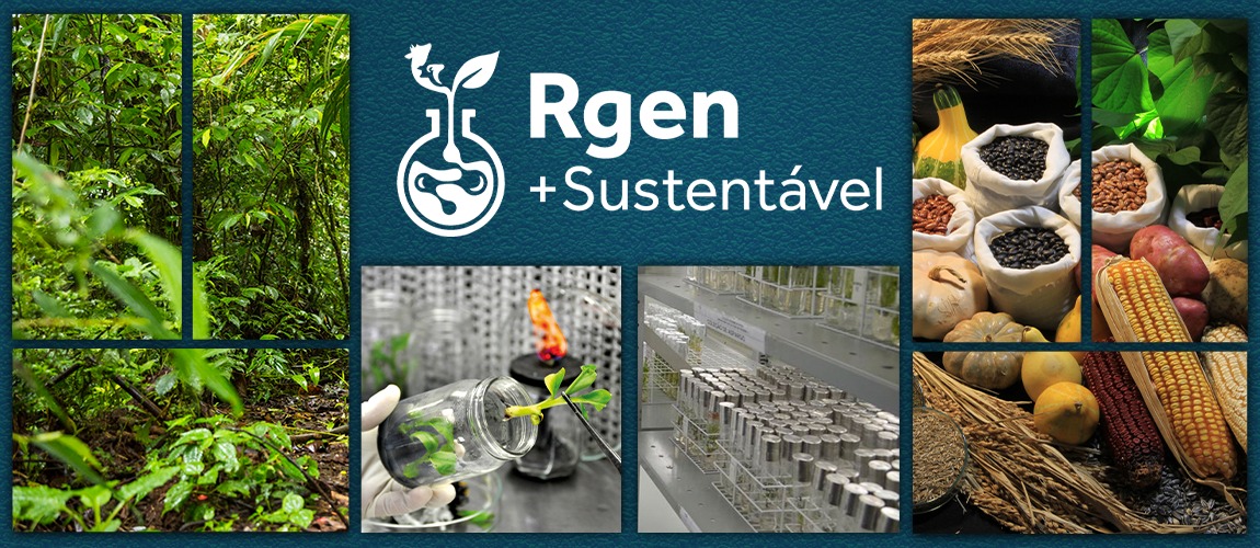 pnrgaa programas.jpg