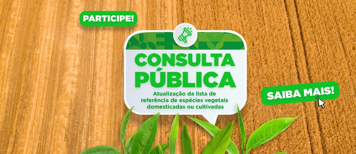 Banner-consulta publica.jpeg