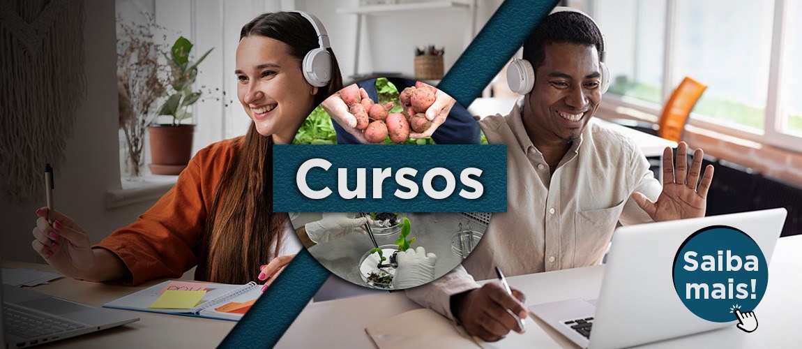 Banner-Cursos.jpeg