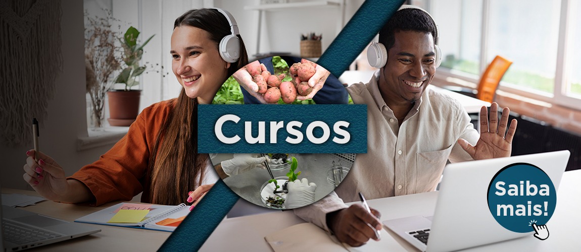 Banner-Cursos.jpeg
