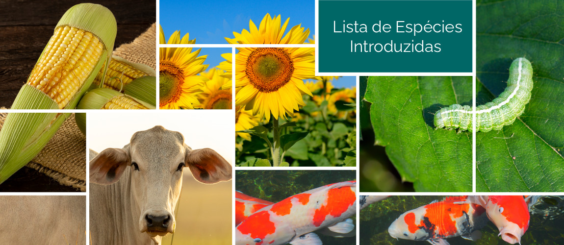 lista de espécies introduzidas.png