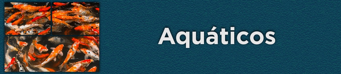 Mini banner-aquaticos.jpeg