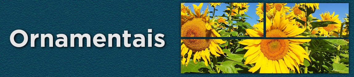 Mini banner-ornamentais.jpeg