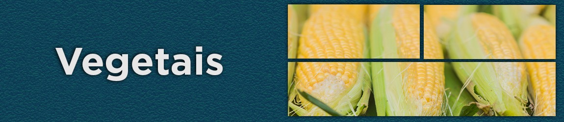 Mini banner-vegetais.jpeg