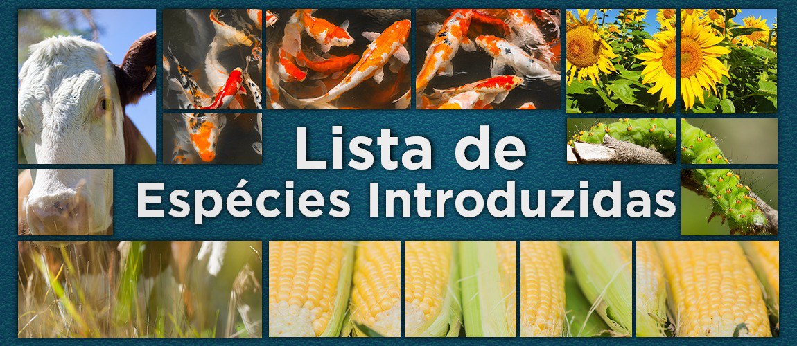 lista de espécies introduzidas.png