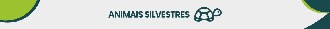 ANIMAIS SILVESTRES.png
