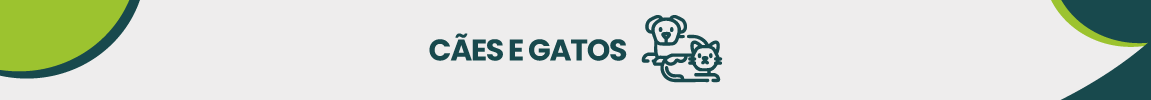 CÃES E GATOS.png