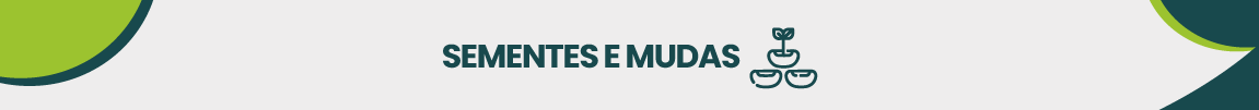 SEMENTES E MUDAS.png