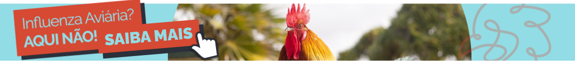 Influenza Aviária