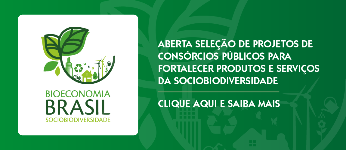 Bioeconomia Brasil - Sociobiodiversidade