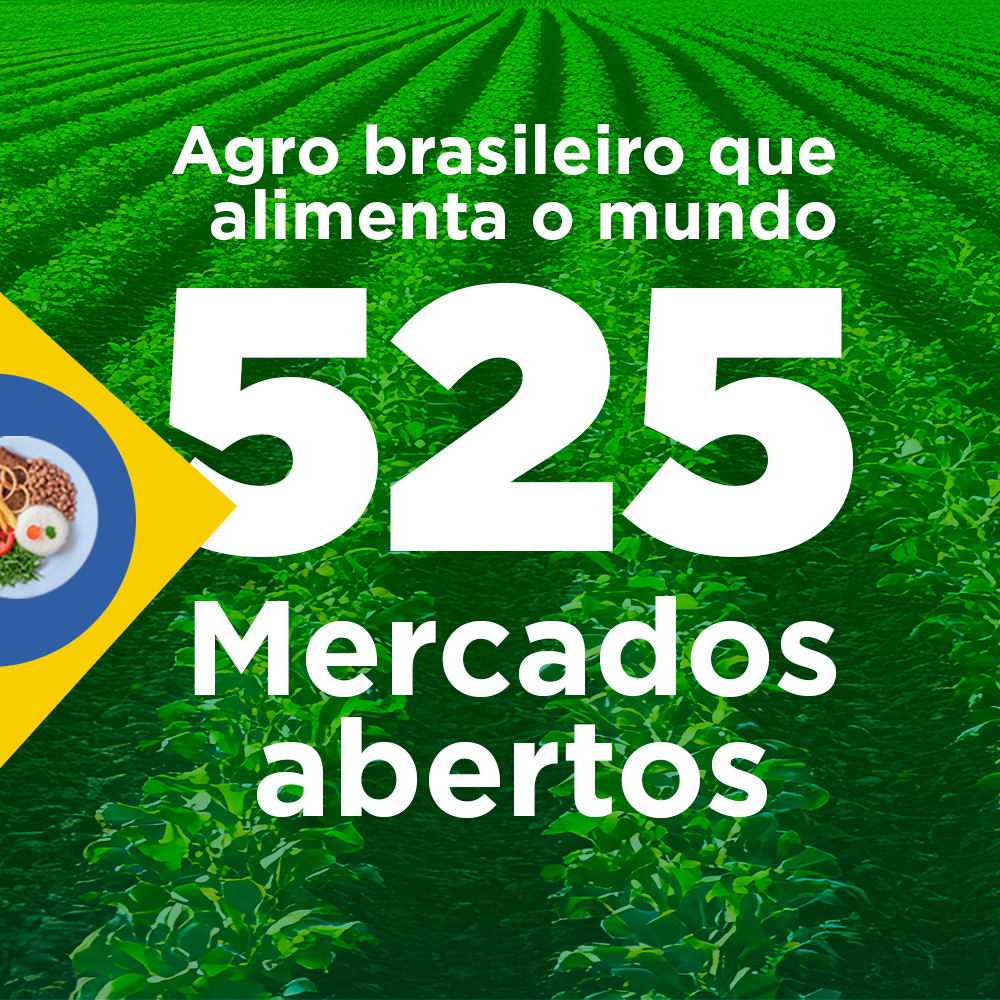 card abertura de mercados 525.png