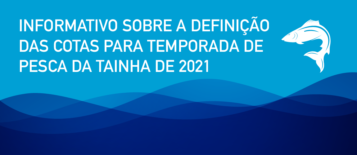 INFORMATIVO SOBRE A DEFINIÇÃO DAS COTAS PARA TEMPORADA DE PESCA DA TAINHA 2021