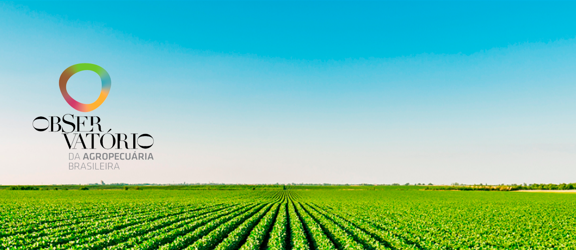 Observatório da Agropecuária