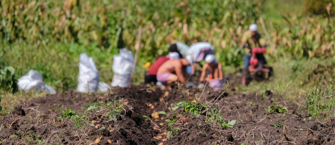Projeto Dom Hélder Câmara
