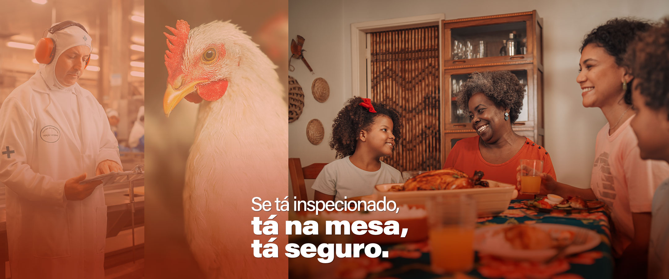 Banner-1-main-2160x900.jpg Alimento seguro