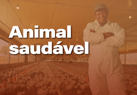 Banner-2-animalsaudavel-575x400.jpg