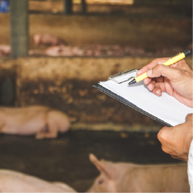 matéria sanidade animal.png