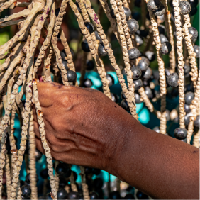 matéria amazonia nordeste.png