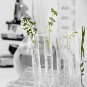 Materia rgen mais sustentavel.png