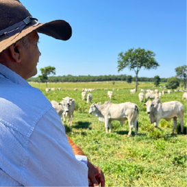 enfretamento crises climaticas.png