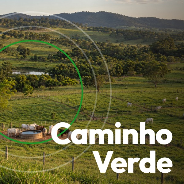 Caminho Verde