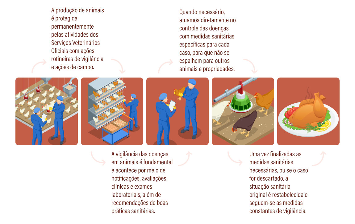 Infografico-1-1150x600.jpg