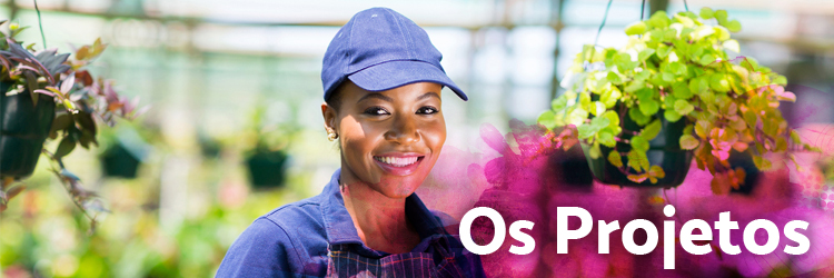 projetos.jpg