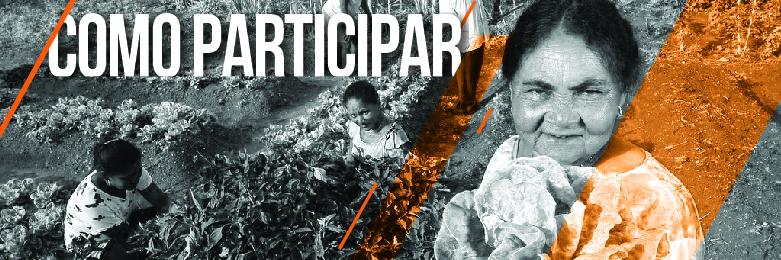 banner interno-04.jpg