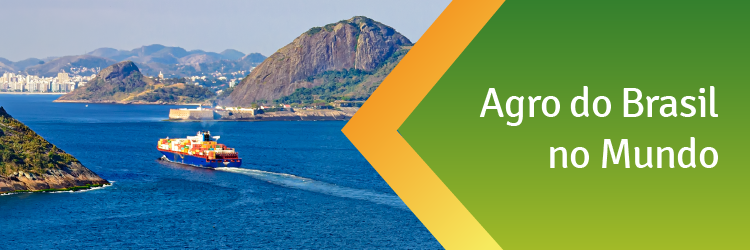 banners-hotsite-retrospectiva-02 (1).png