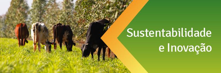 banners-hotsite-retrospectiva-06 (1).png