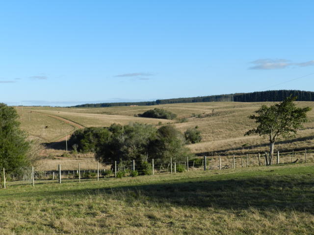 Produção sustentável.jpg