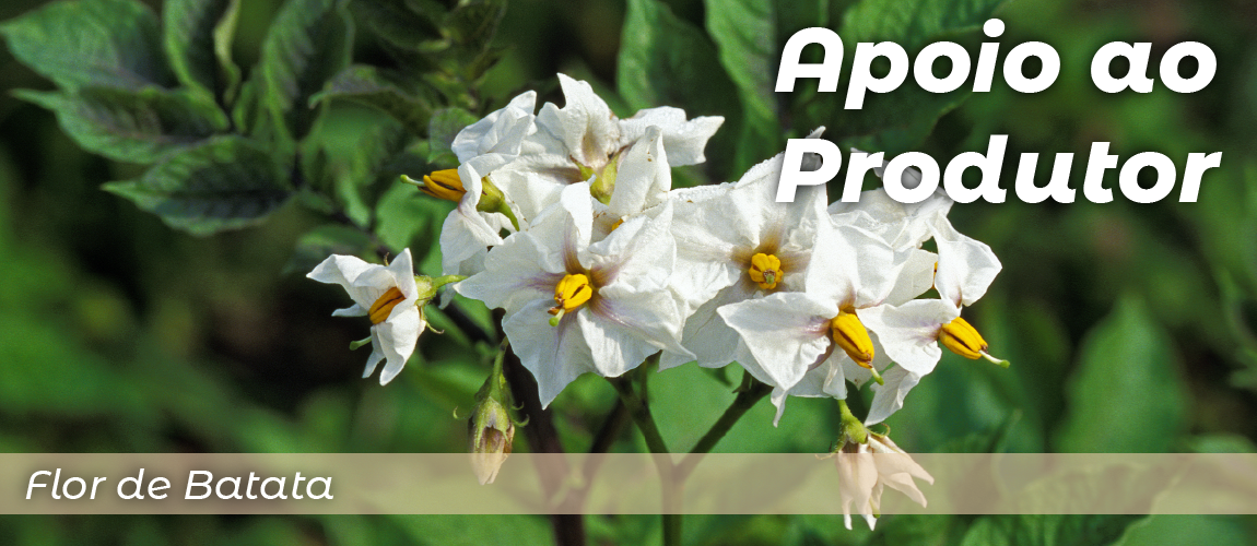 header - apoio ao produtor