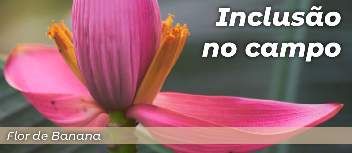 header - inclusão no campo