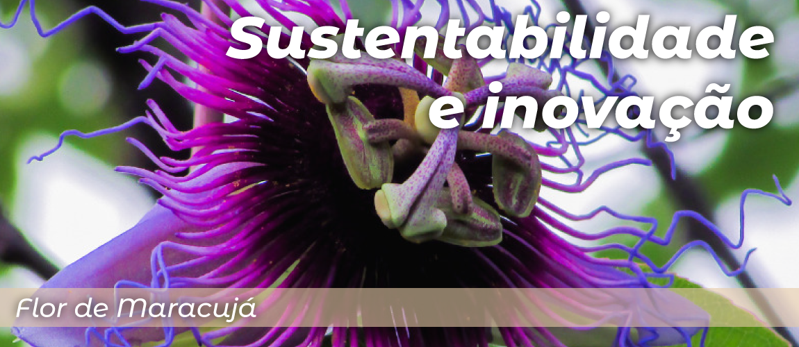 header - sustentabilidade e inovação
