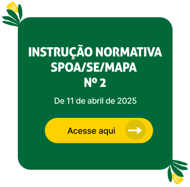 Instrução Normativa n.º 02, de 11 de abril de 2025