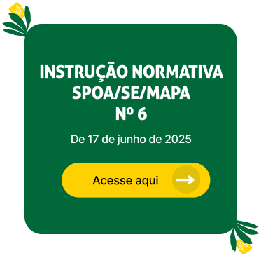 Instrução Normativa SPOA Nº 6 DE 17/06/2025