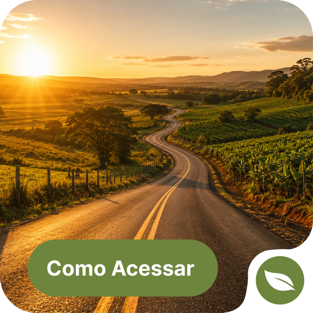 Como acessar o PRONER
