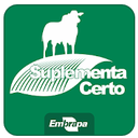 Suplementa.png