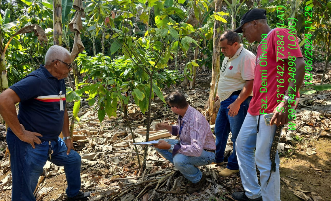 Iniciativa abrangeu oito municípios produtores de cacau do Território Vale do Jiquiriçá, na Bahia. É a segunda edição da capacitação