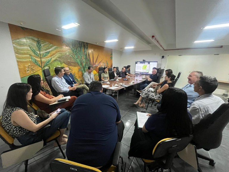 Reunião CGAI-ES 4 (1).jpeg