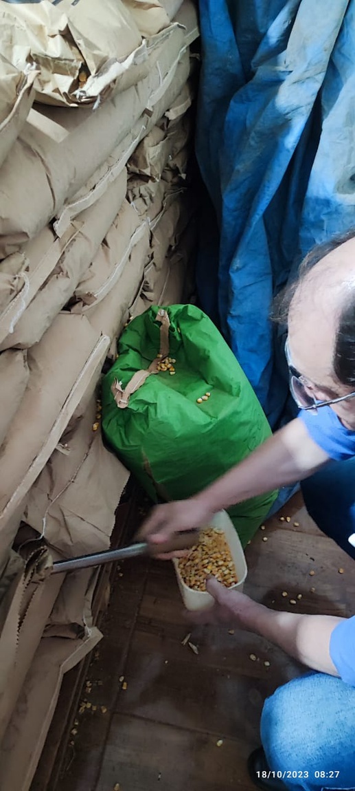 Fonte: Superintendencia de Agricultura e Pecuária em Goiás/SFA-GO