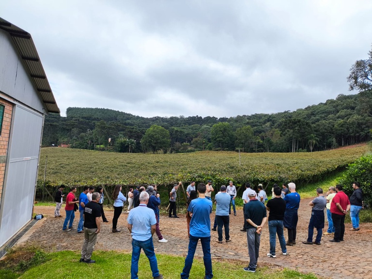 WhatsApp Image 2026-04-16 at 19.08.50.jpeg