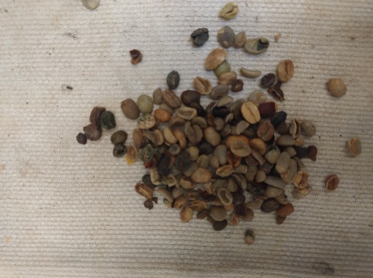 WhatsApp Image 2025-11-21 at 16.08.03 (1).jpeg