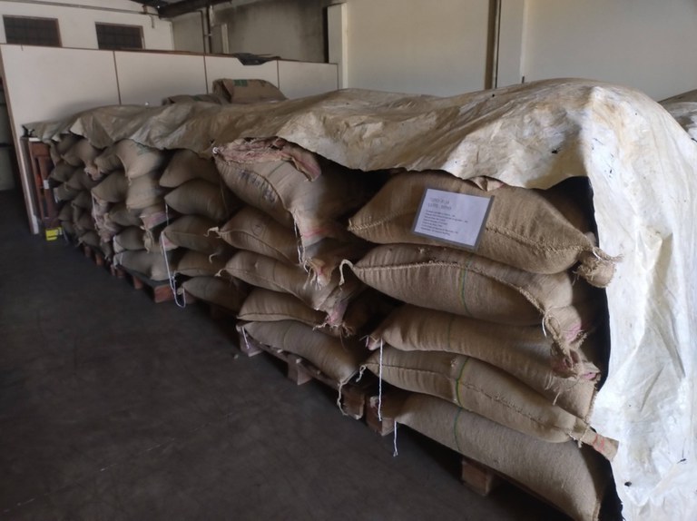 WhatsApp Image 2025-11-21 at 16.08.03.jpeg