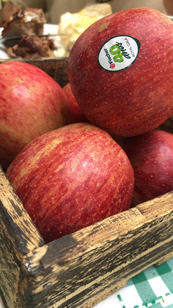 Presença da SFA-SC em eventos dos setores do arroz, cebola e maçã reforçaram o diálogo com produtores e o fortalecimento das cadeias produtivas do estado