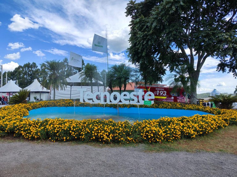 WhatsApp Image 2026-02-11 at 00.04.31.jpeg