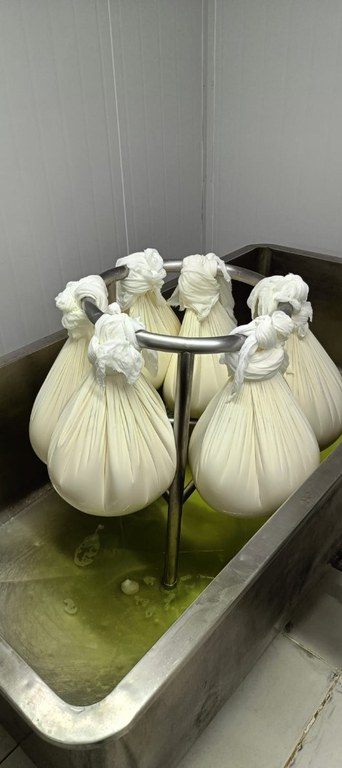 WhatsApp Image 2025-12-04 at 19.16.11 (3).jpeg